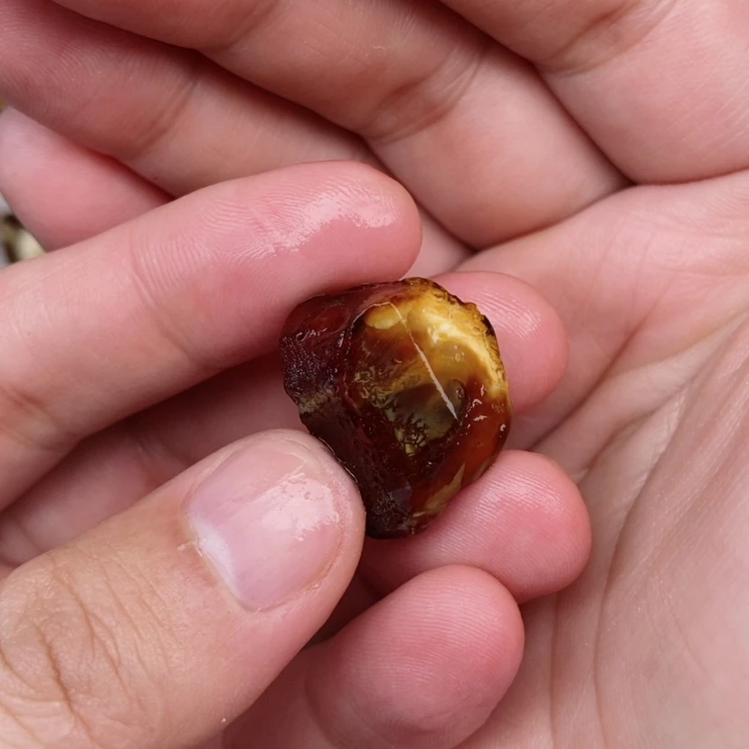 【闪购商品】定制琥珀未镶嵌蜜蜡