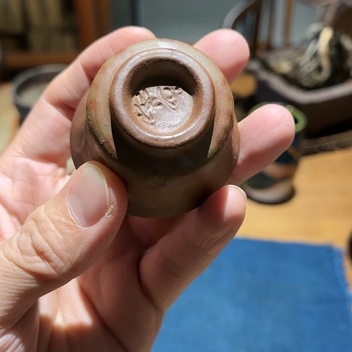 天天买壶 天天开心