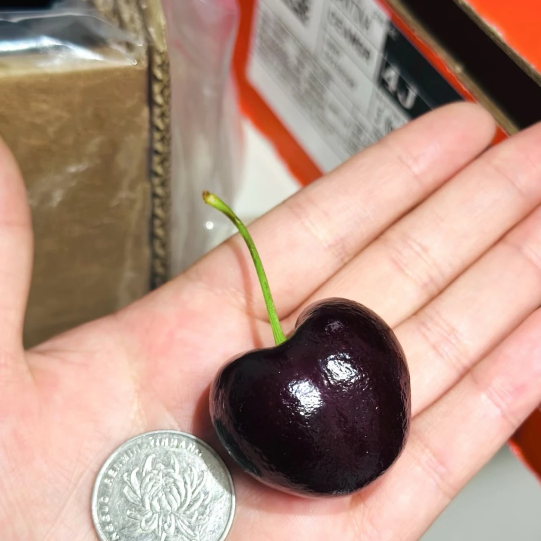 智利桑提娜车厘子2J3JJJ4JJJJ脆甜多汁1斤装5斤内附果径卡智利海运智利