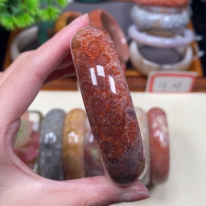 硅化珊瑚（珊瑚玉）手镯未镶嵌乐**?