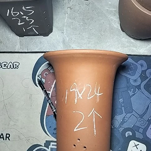 大红兰花两个花盆