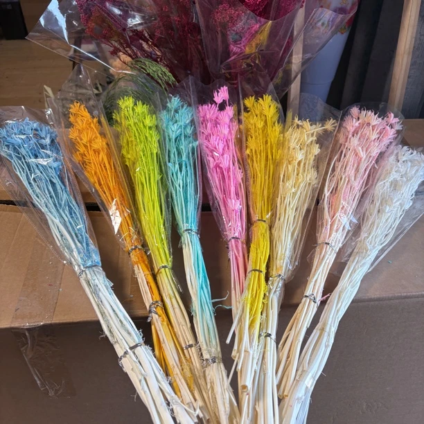永生花八角花干花小清新家居插花手工DIY装饰花材真花