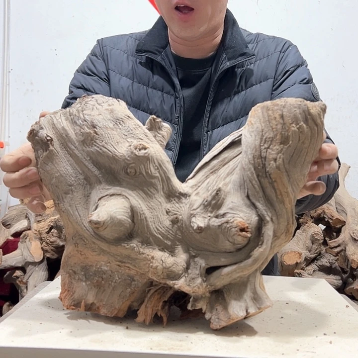 柏木青*我们的生活也是如此的