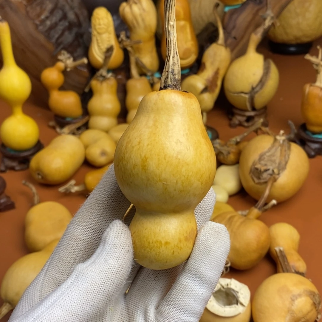 阿***卡教练教练教练教练