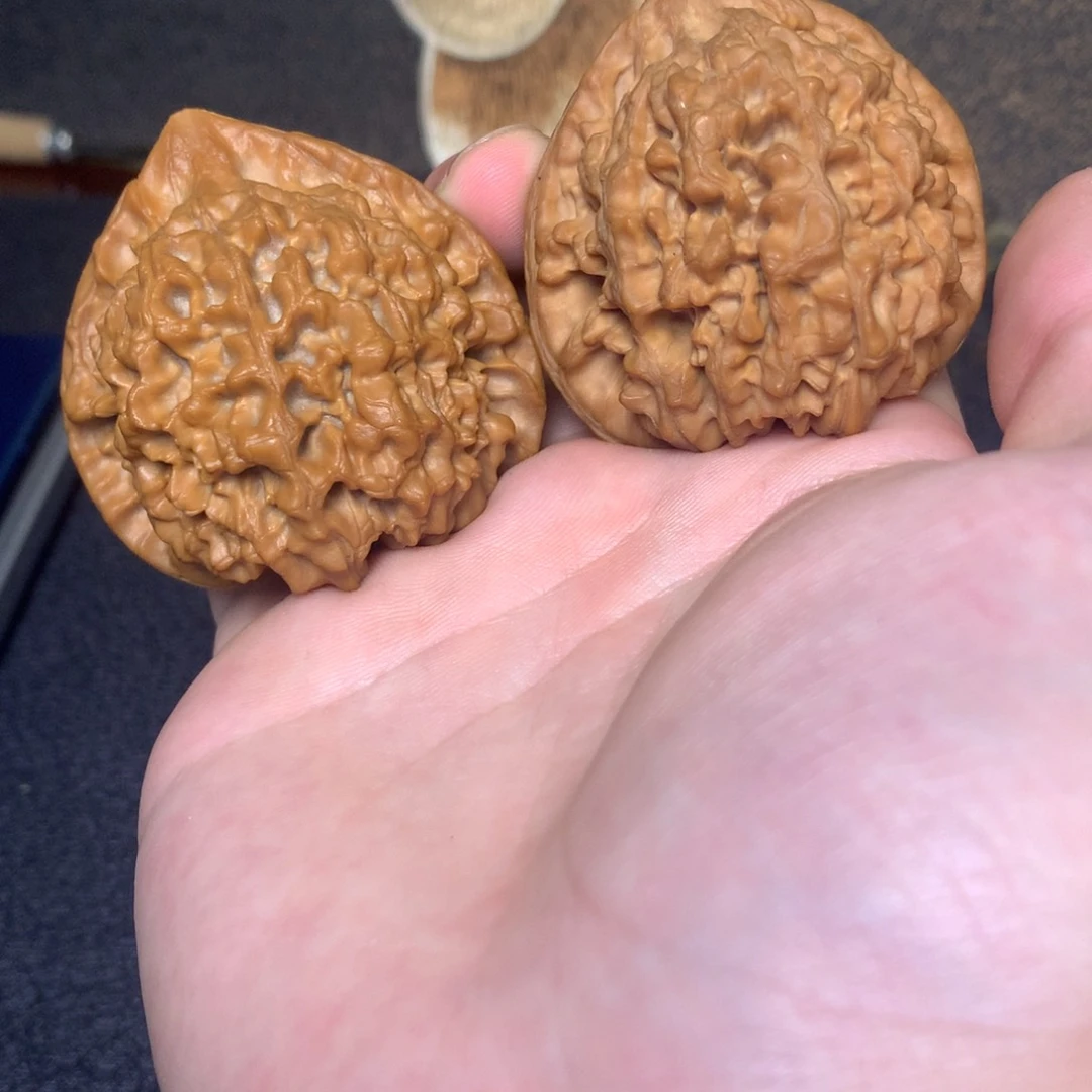 文玩核桃把件50大官帽全品