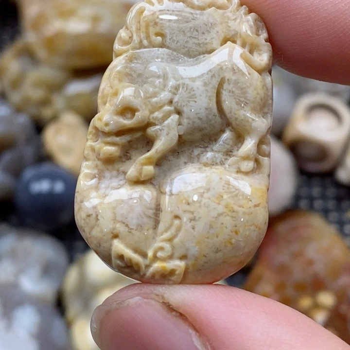 颈饰未镶嵌硅化珊瑚（珊瑚玉）小
