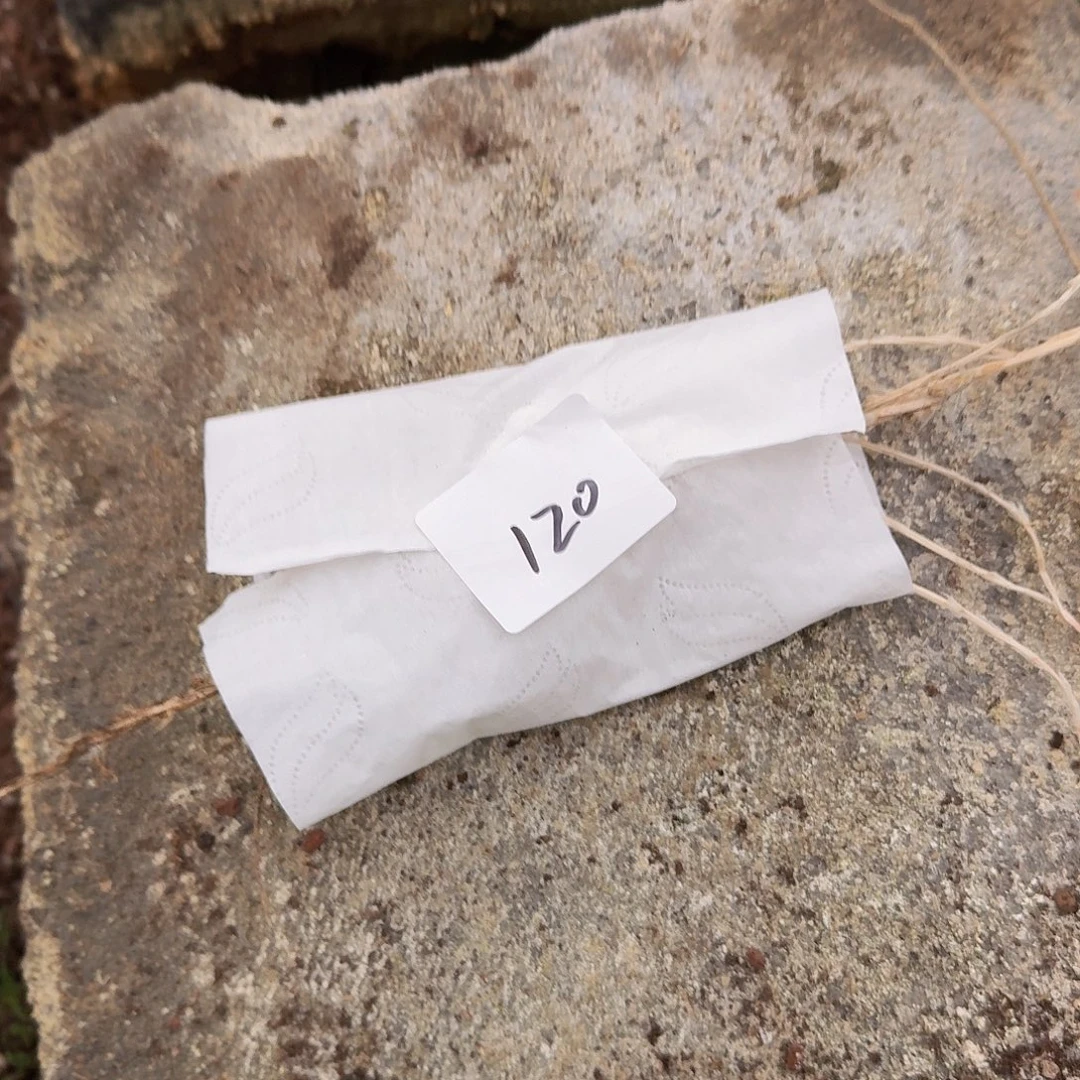 直播福利一物一拍120