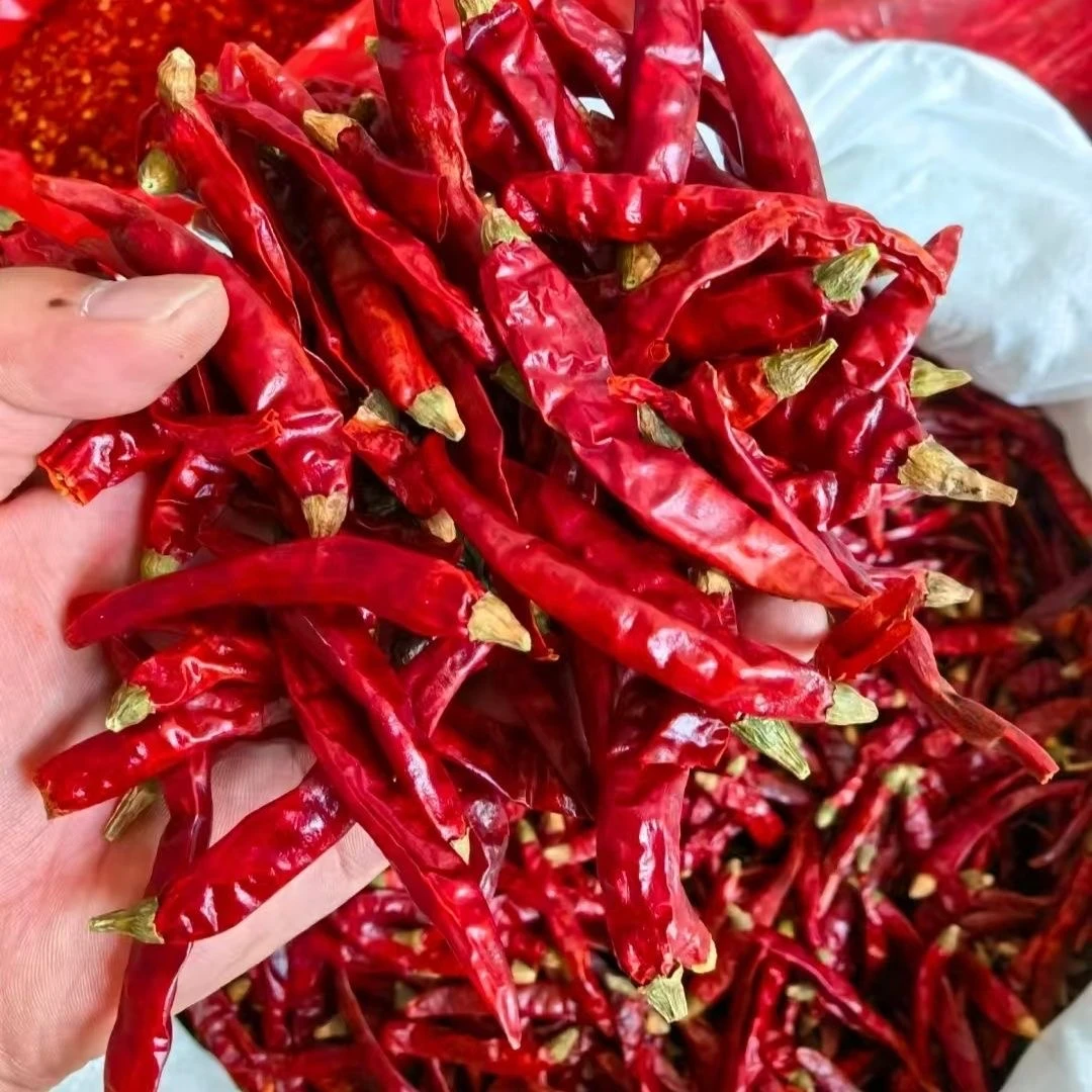 【到手6包】精选干辣椒香辣红辣椒干家庭必备手工挑选