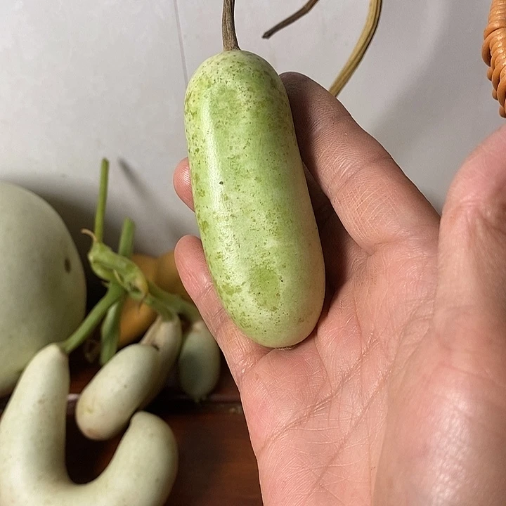 *****青皮葫芦手把件葫芦