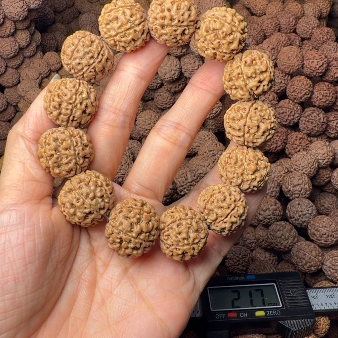 手串金刚菩提6瓣卡20尺，16号