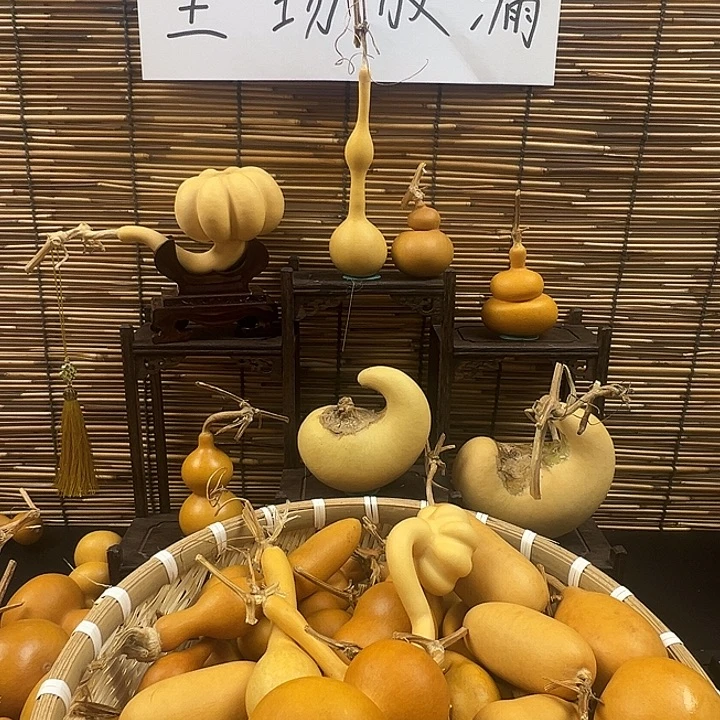 w****葫芦葫芦葫芦葫芦葫芦