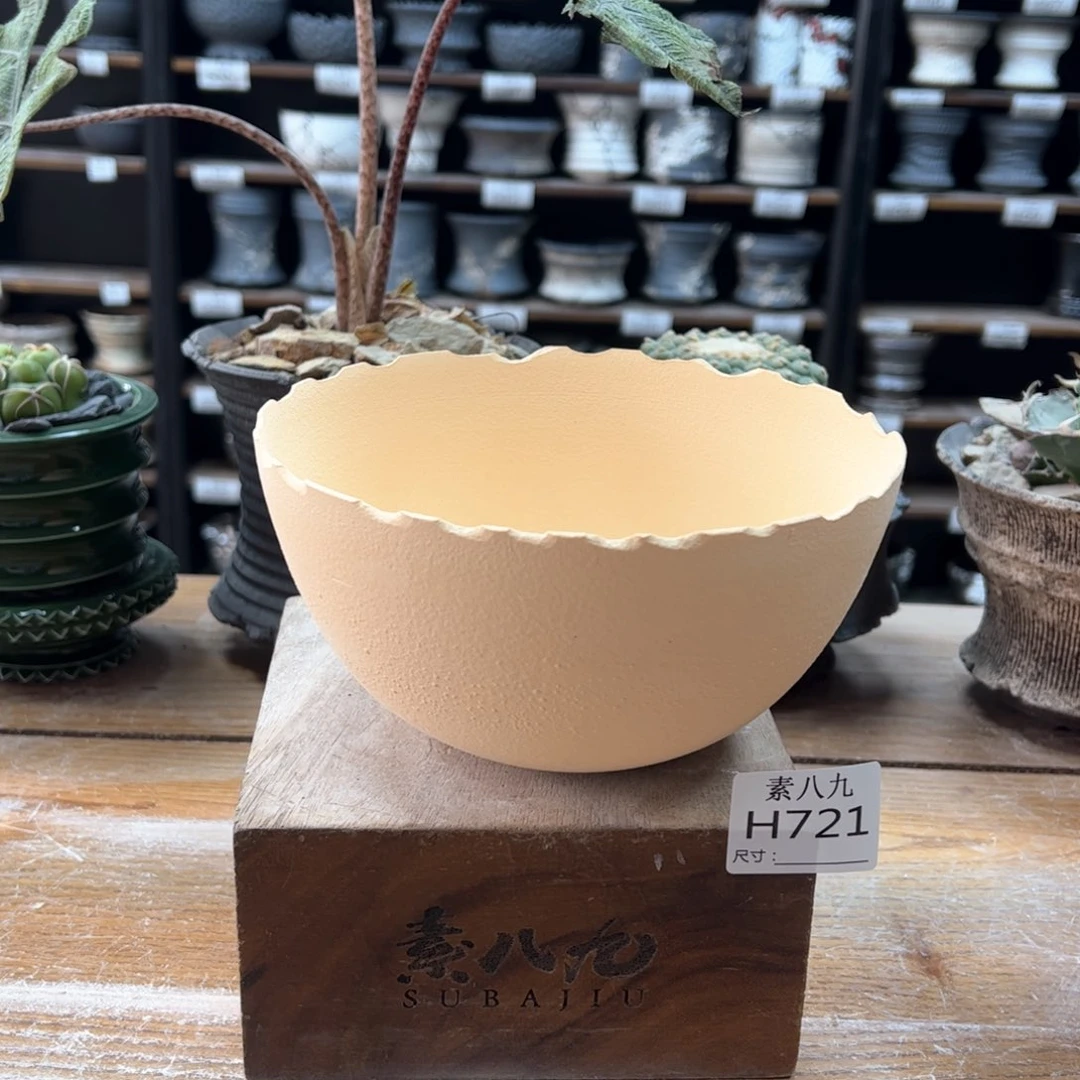 素八九陶瓷内口17高9