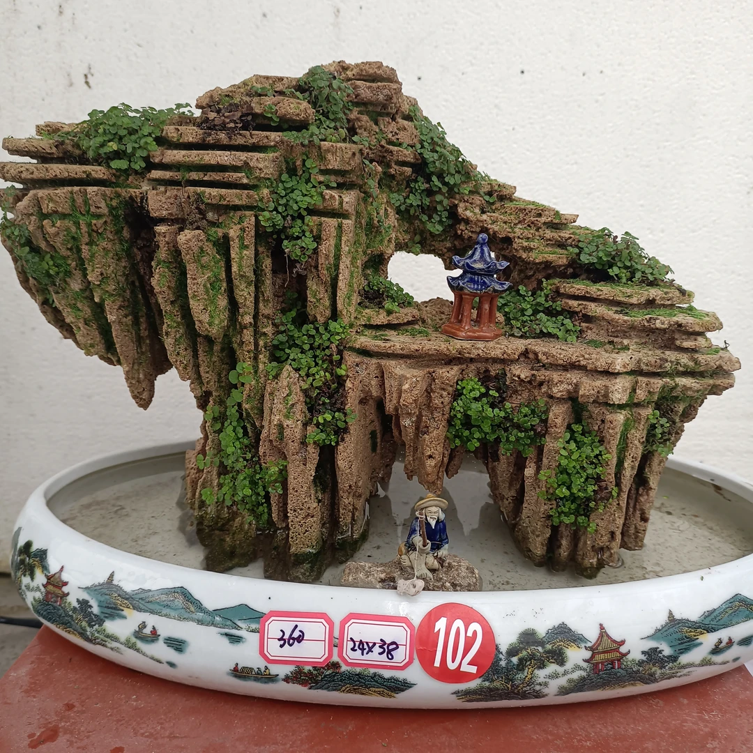 高24盆长38吸水石绿植盆景