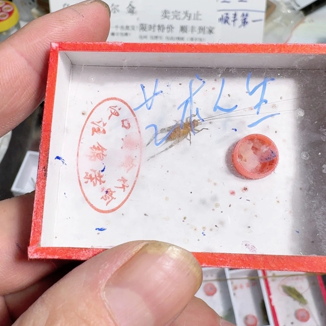 艺***生蟋蟀蝈蝈你的电话打不