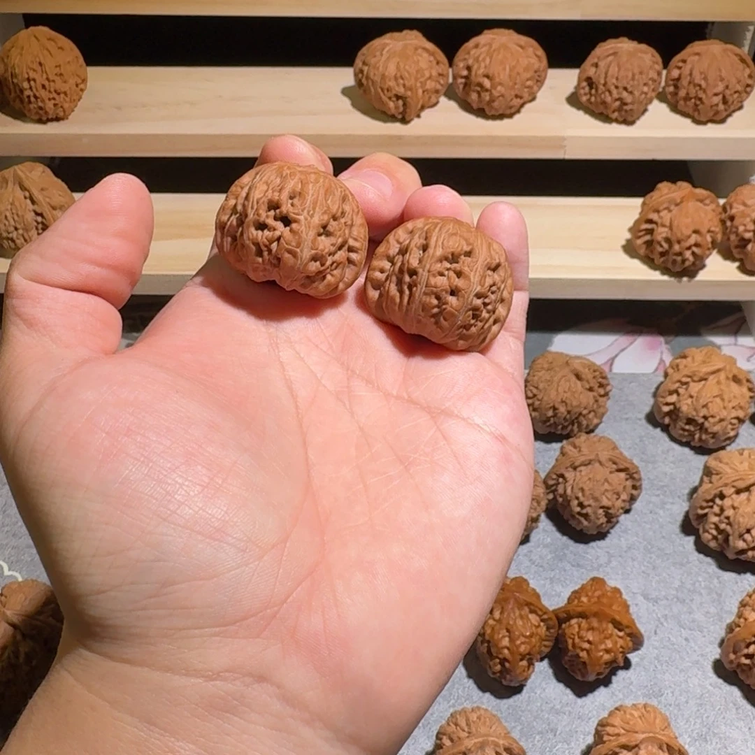 大叶紫檀（黑酸枝木类）