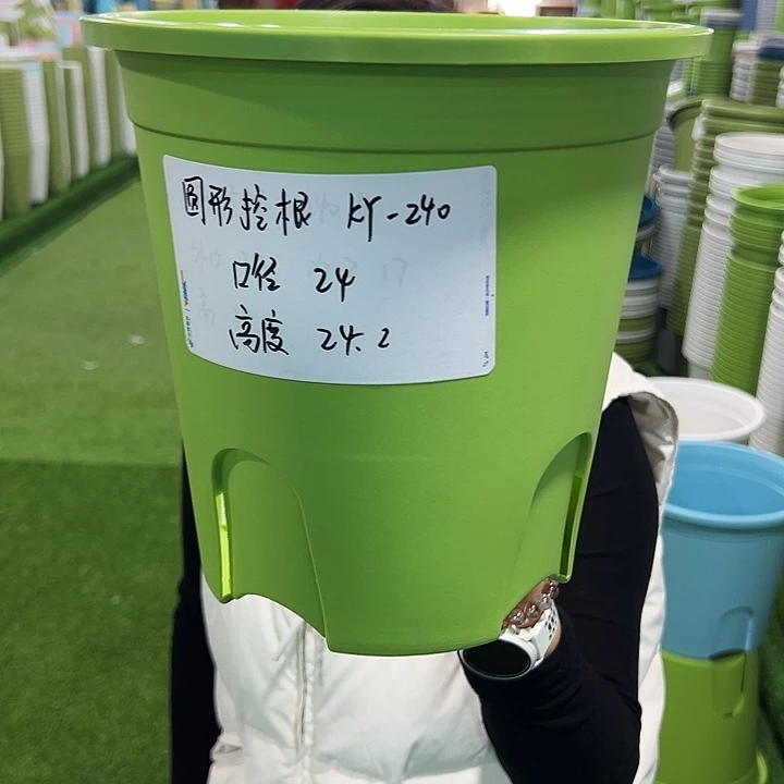 正品圆控口24高24果绿无托8只