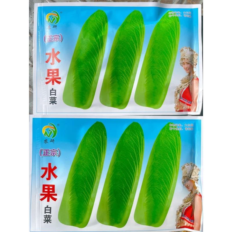 水果白菜种子,非常好吃的品白菜品种