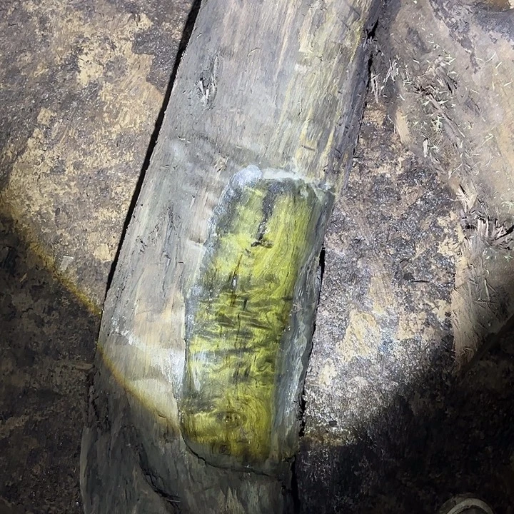 道***道金丝楠啊啊啊啊啊