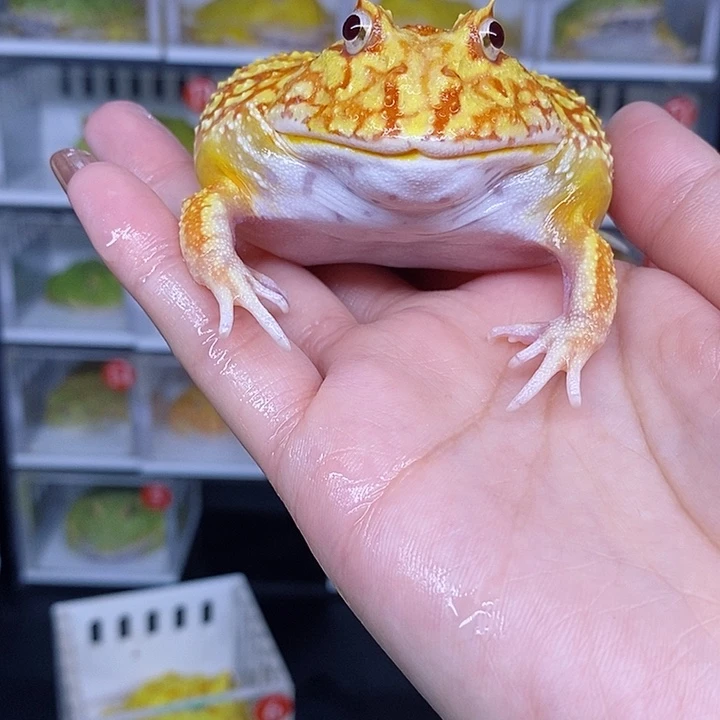 特价秒杀现货特价