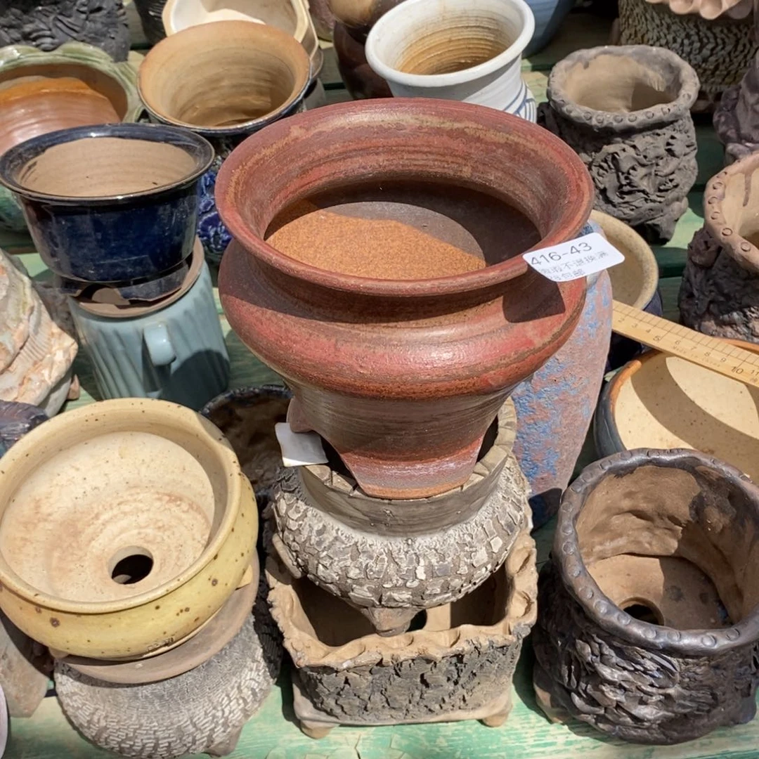 滋*43号多肉盆一个呀