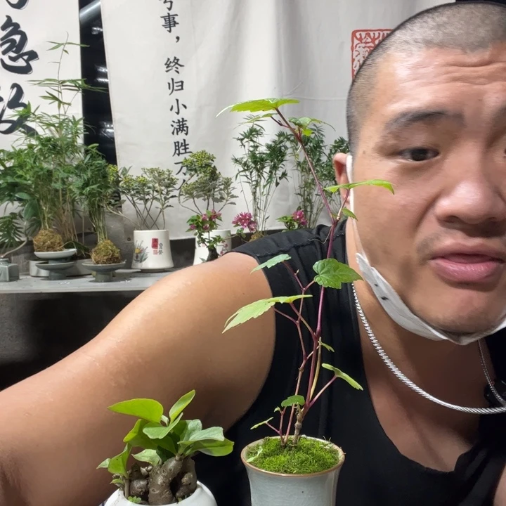 无花朵退款拉黑拉黑76