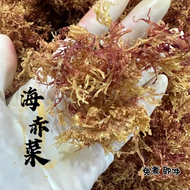 南澳赤菜海底燕窝食用卡多胶免煮直接冲泡50g包邮海藻海石花海产