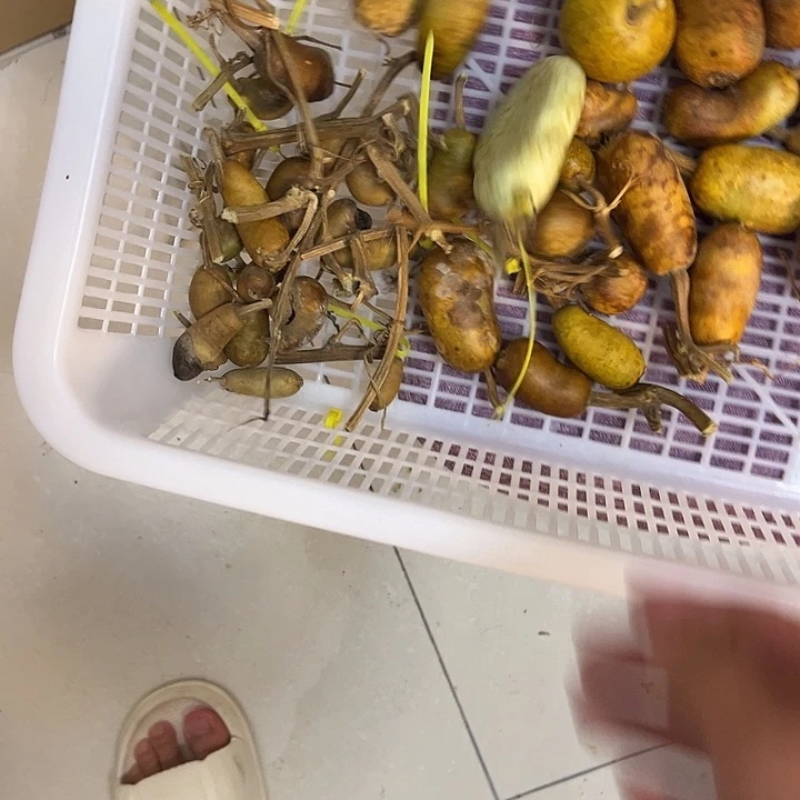 ****徐哈哈哈哈哈哈哈哈哈哈哈哈哈哈哈