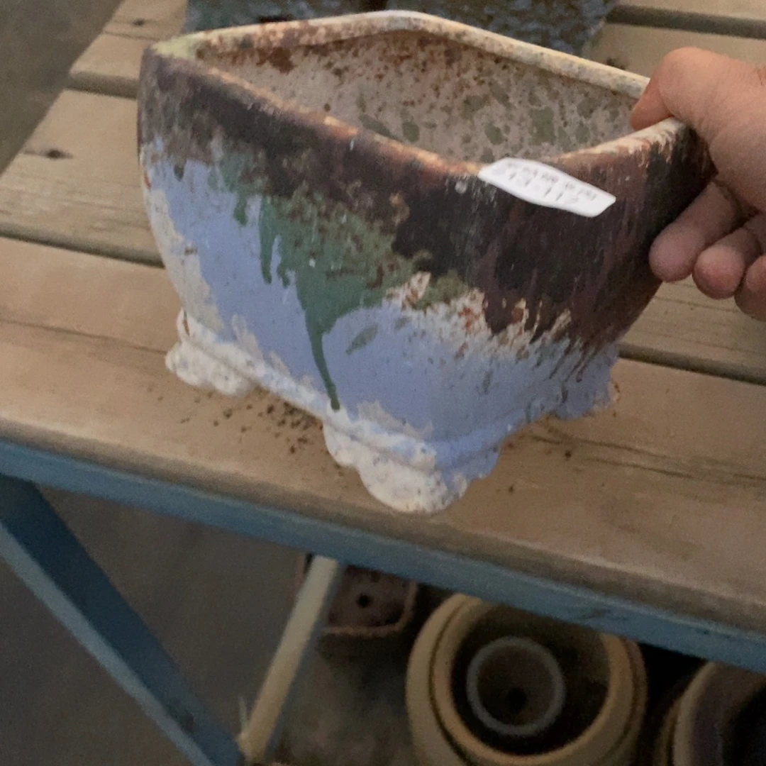 红陶贪*117号法瑞盆一个呀