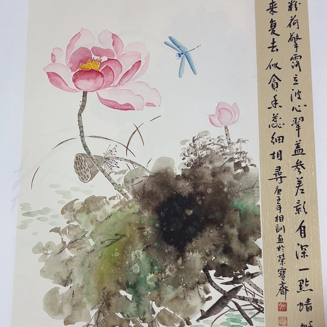 竖款福利来了来了来了来啦