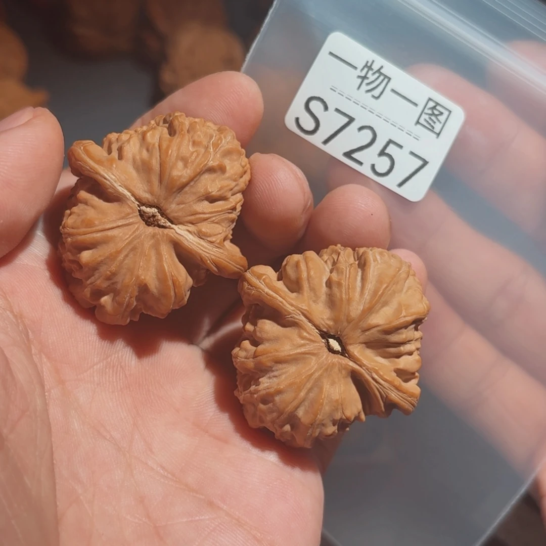 文玩核桃把件白狮子