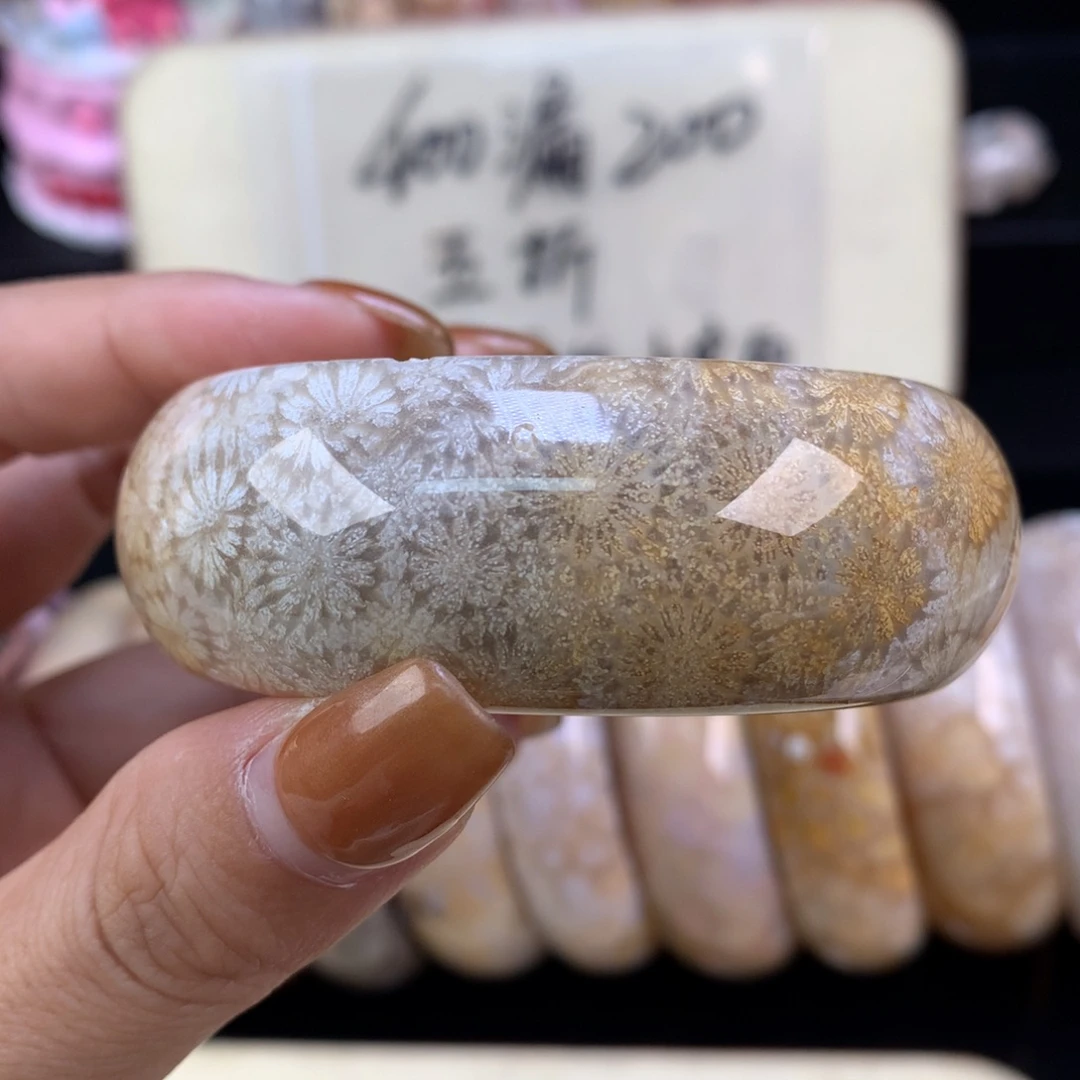 硅化珊瑚（珊瑚玉）未镶嵌颈饰五折精美手镯52口（56号）