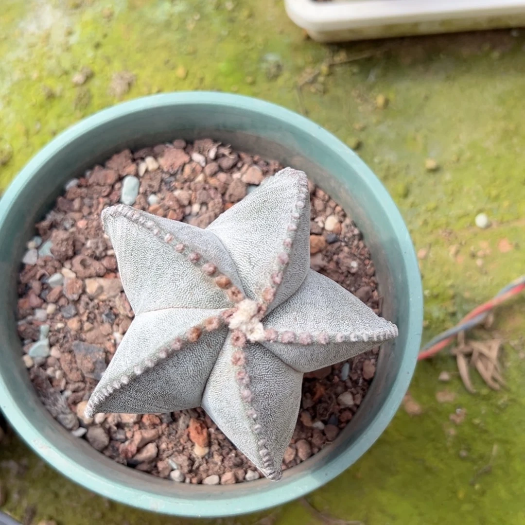 勋****零零落落 零零落落