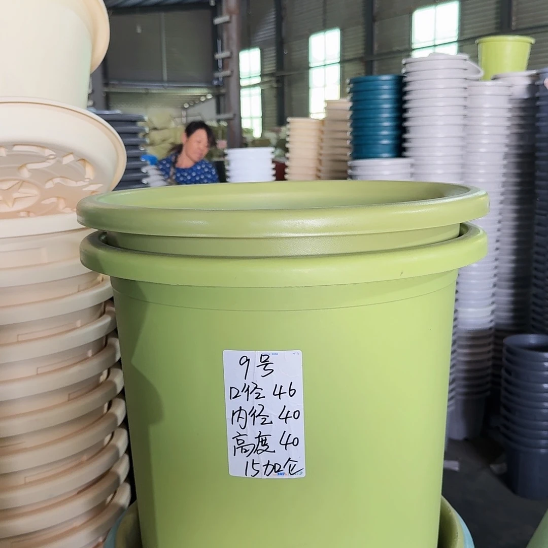 微瑕9#口径46无拖果绿2个