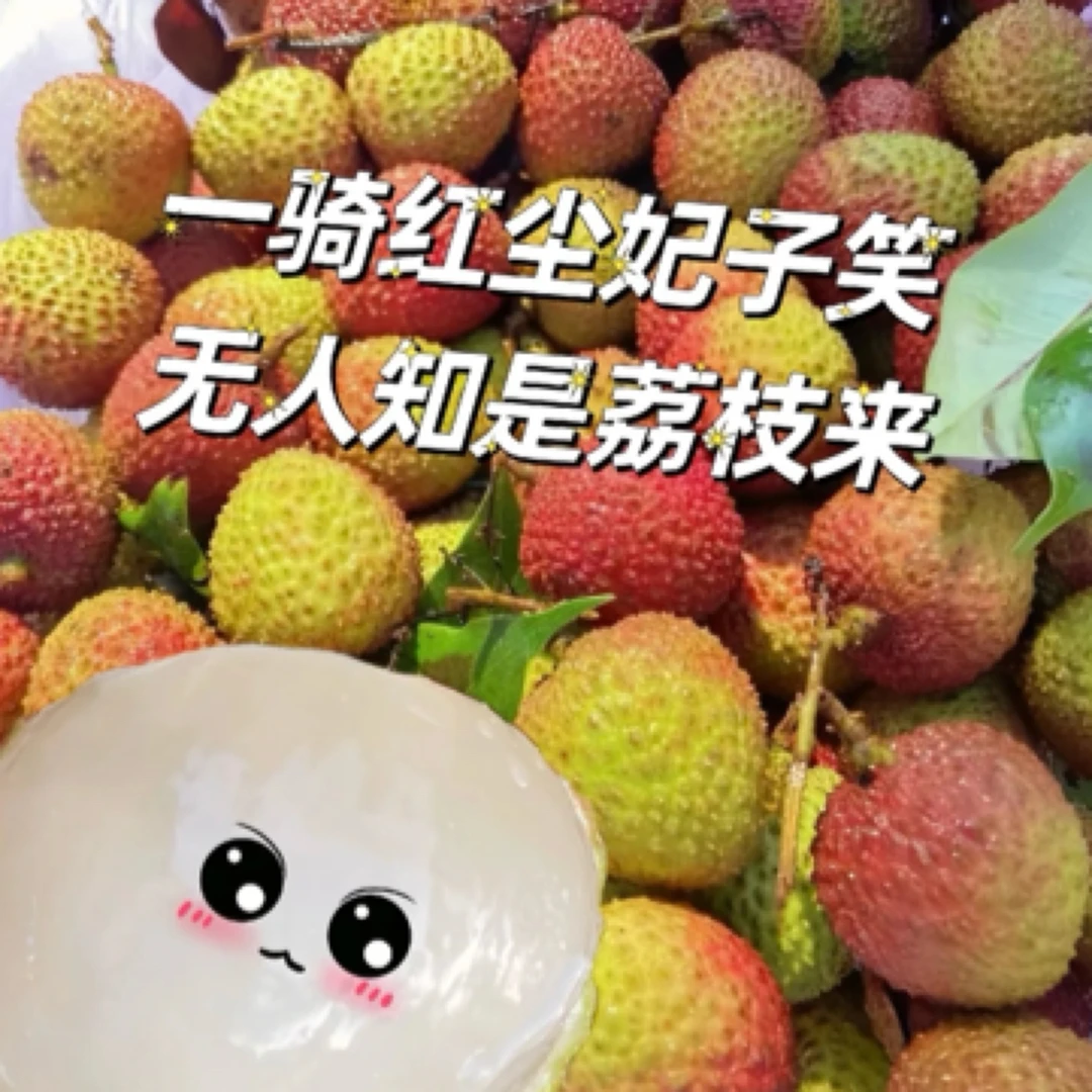 高州妃子笑 20年老树皮薄肉厚果核小  礼盒包装 京东空运包邮