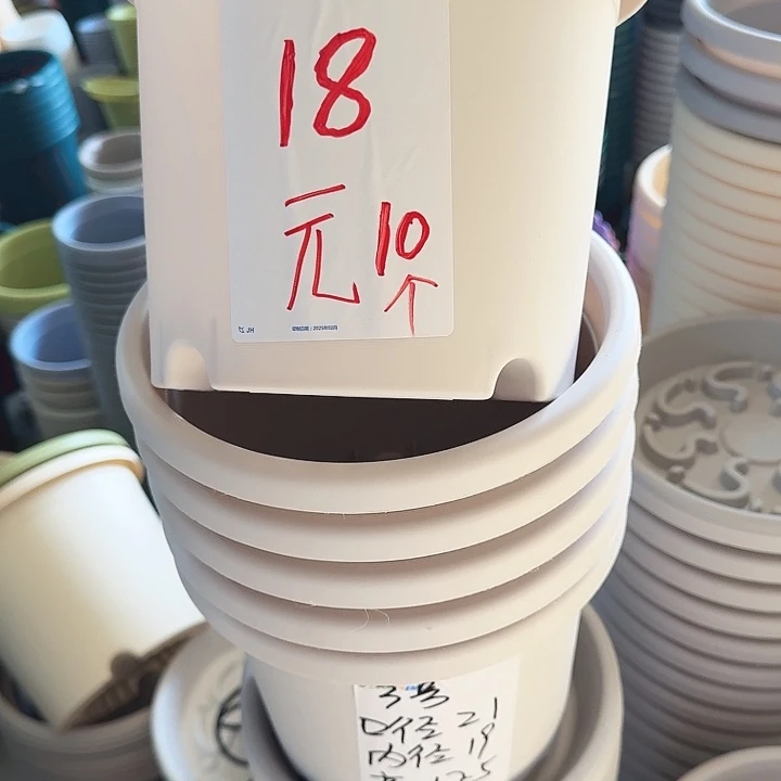 微瑕3#灰白10个无托