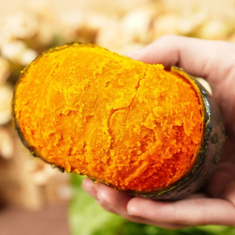 正宗真贝贝小南瓜板栗味婴儿辅食老南瓜粉糯香甜进口栗子香