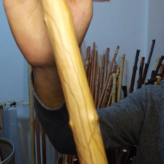 友***友秦岭石山红荀子，牛筋木