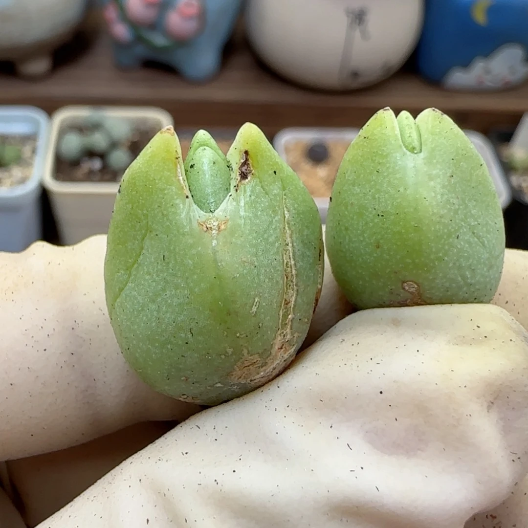 664福利福利福利