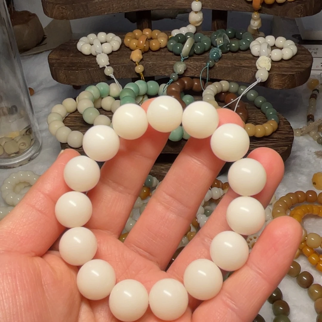 吊坠菩提根/象牙果