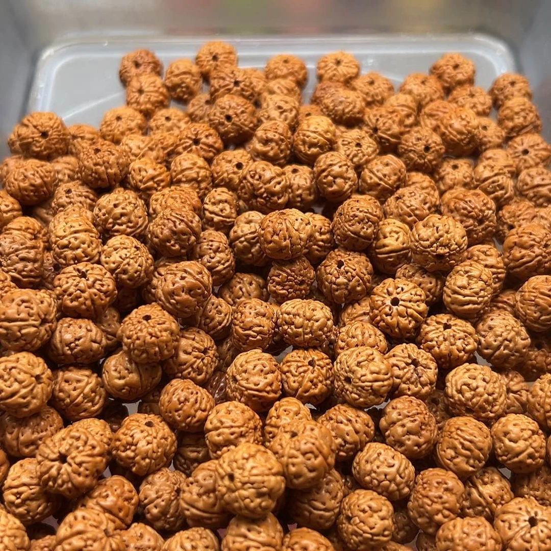手串菩提根/象牙果微瑕卡12左右金刚390颗