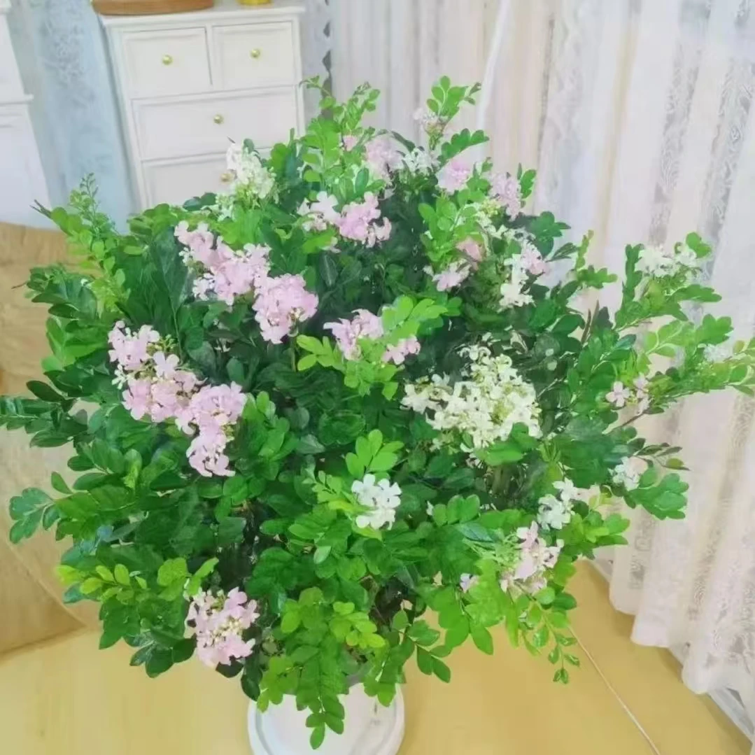 九里香盆栽浓香型客厅阳台室内带土球带盆发货