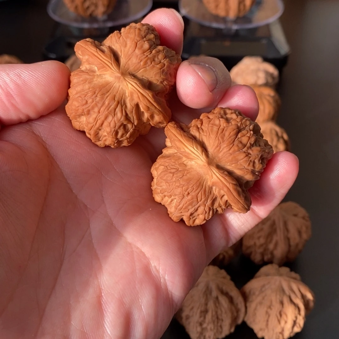 核桃血麒麟有修39