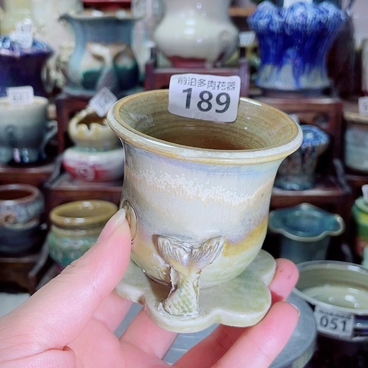 狼盆内口径6高度7