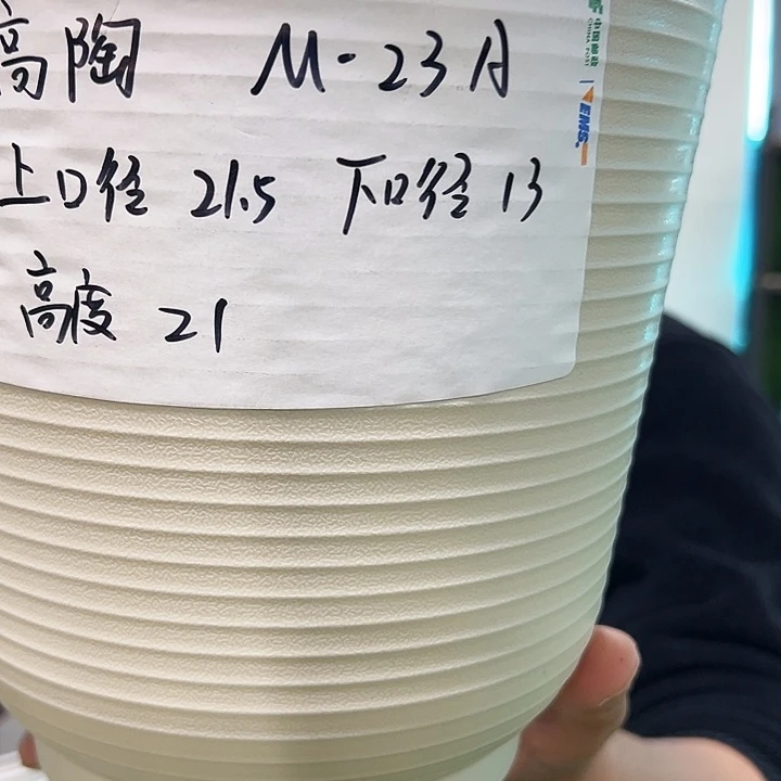 正品高陶口21高21白色6个无托
