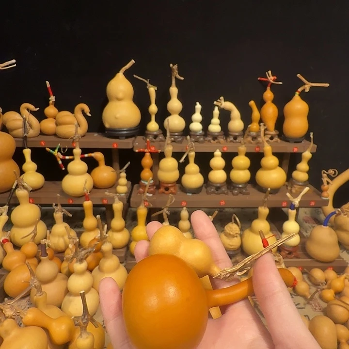 大***象1111111111111111111