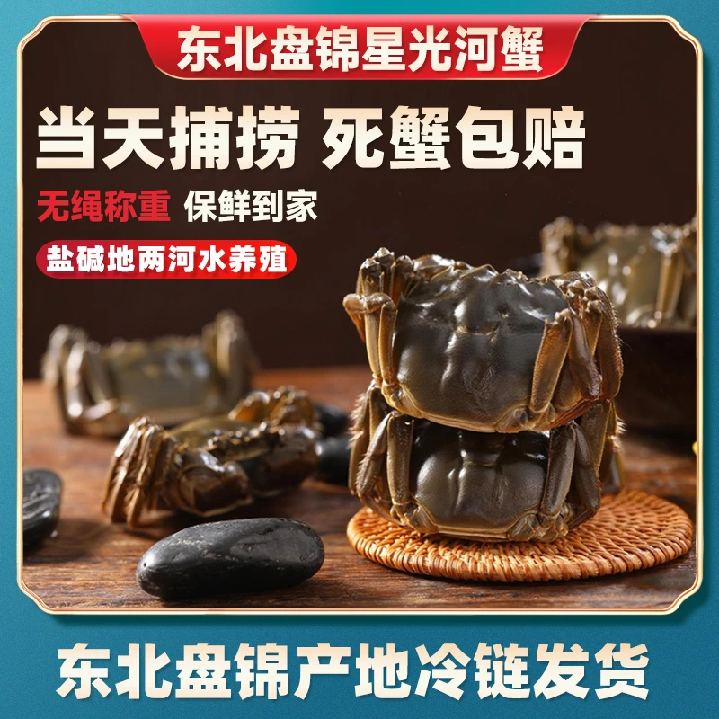 PANJIN/盘锦河蟹盘锦稻田蟹 母蟹 （1.3-1两/20只左右）净重2/3 斤