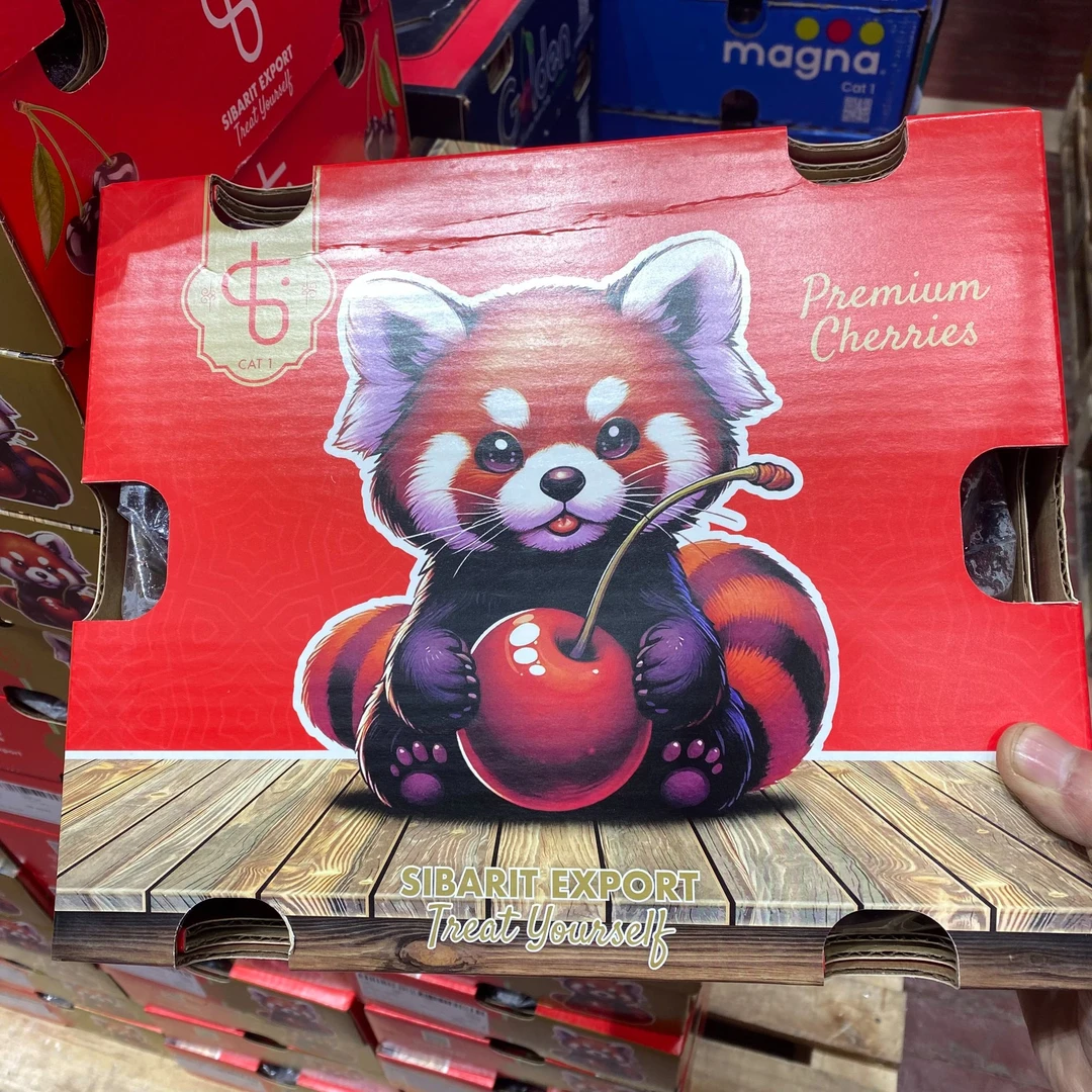 【磊哥心选】【3JL拉宾斯】小浣熊智利车厘子原箱净重5斤