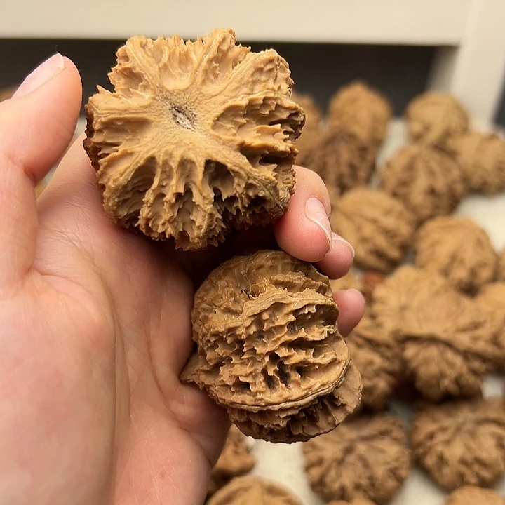 桃核吊坠用****8秦岭山脉的一个2