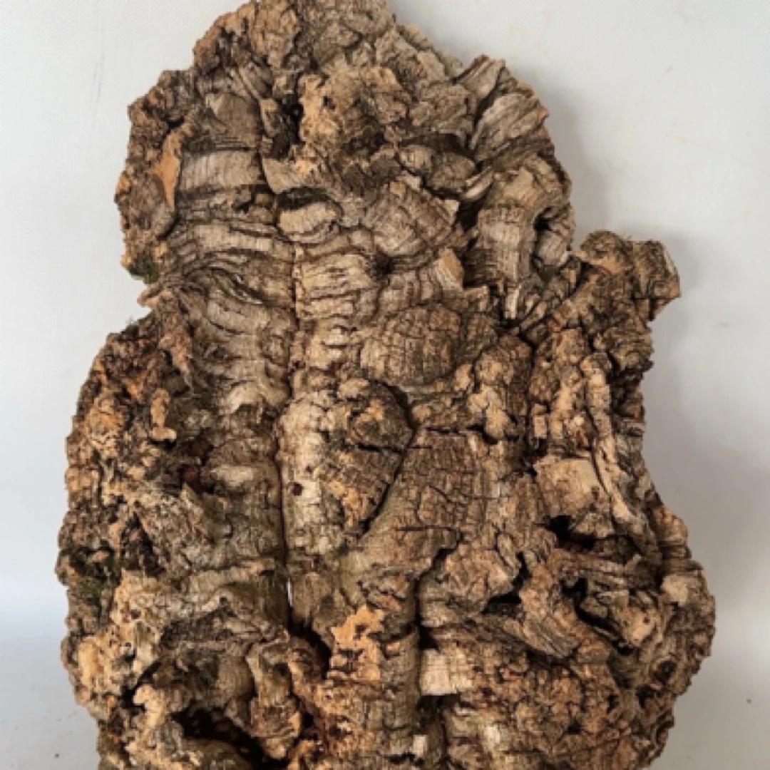 葡萄牙进口树桶软木皮随机收两斤