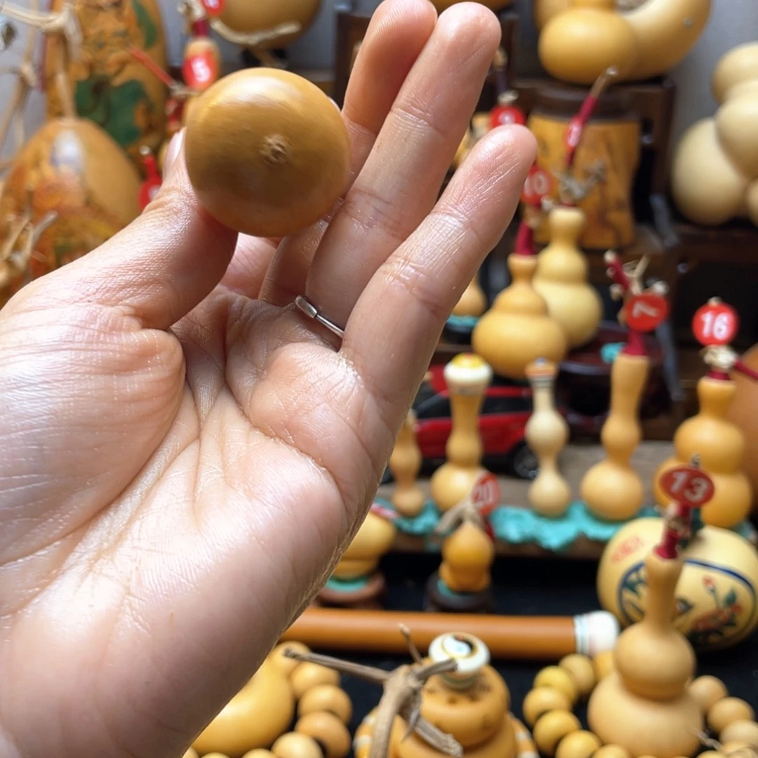 h****P大自然的秘密第十一节你是